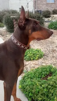 IMG_20130709_143259_145 [1024x768].webp