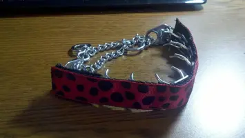 2014-01-01 15.35.01.webp