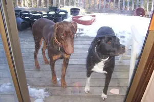 100_1913.webp
