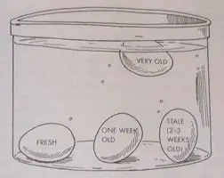 EggTest-MichelesDelights.webp