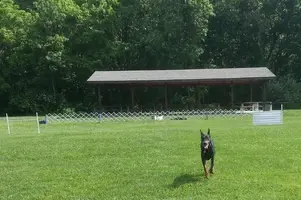 RS_20140606_095725(0)-Cropped.webp