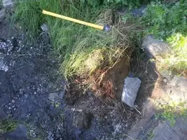 RS_20140607_190314-RootMat.webp