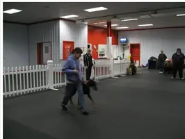 Jan and Boris entering trail of treats.webp