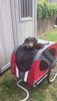 Marco bike trailer 1.webp