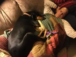 Nap.webp