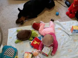 20160208_154205.webp