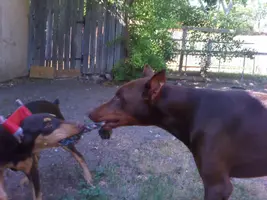 2011-09-28 16.07.16.webp