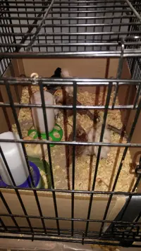 20160314_221636.webp