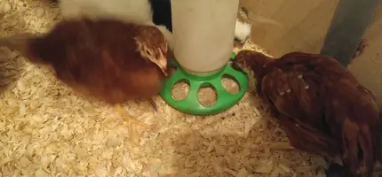 20160404_225858-1.webp