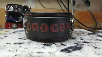DrogonCollarJ1.webp