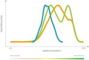 287318.webp