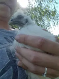 20160619_155832.webp
