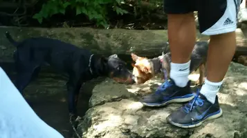 2016-07-02 14.52.59.webp