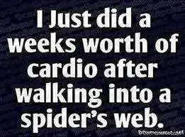 karate walking thru a web2.webp
