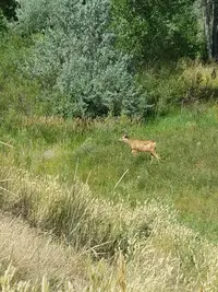 20160723_152600.webp