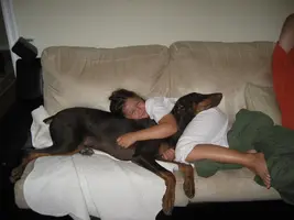 image.webp