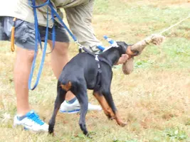DSCN3144.webp