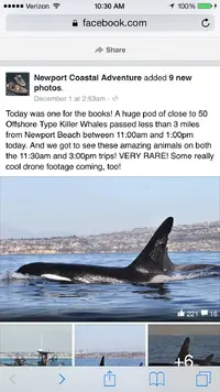 image.webp image.webp