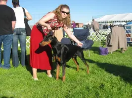 IMG_0489.webp IMG_0489.webp