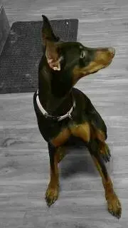 1491696608448.webp