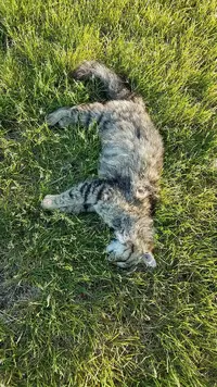 20170515_070438-1080x1920.webp 20170515_070438-1080x1920.webp