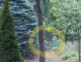 20170523_061441.webp 20170523_061441.webp