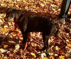 IMG_20170525_192949.webp