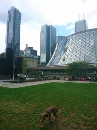 _20170531_143912-2009x2678.webp