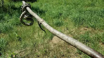 20170620_114453-2016x1134.webp