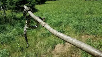 20170620_114451-2016x1134.webp
