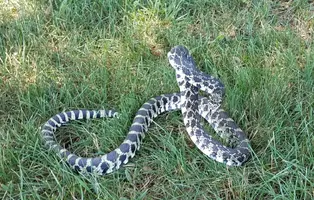 20170620_152949-2016x1286.webp