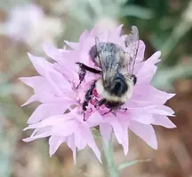 20170713_080055.webp
