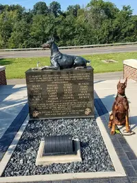 FB_IMG_1503229438796.webp