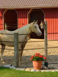 D70_1049_00001.webp