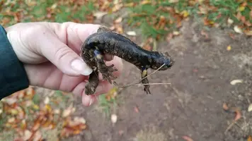 20171115_102307.webp