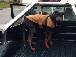 Chore-coat.webp