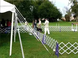 ScreenCapture-CooperLeavingRing.webp