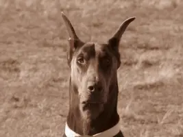 IMG_1216 [1024x768].webp