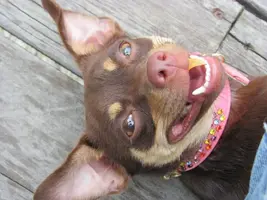 IMG_9697 [1024x768].webp