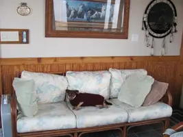 IMG_1088 [1024x768].webp