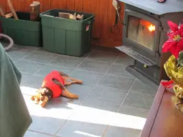 IMG_1508 [1024x768].webp