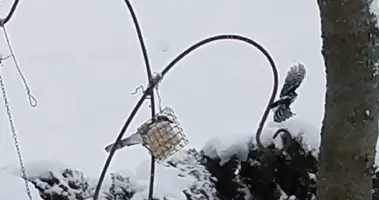 20180209_103643.webp