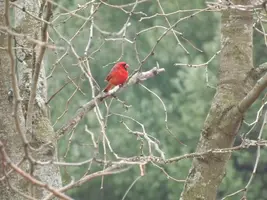 DSCF8727.webp
