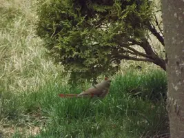 DSCF8731.webp