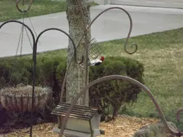 DSCF8740.webp