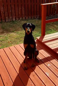 20180504_102558.webp