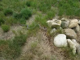 20180522_134240.webp