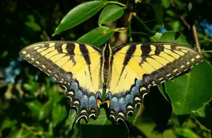 20180601_075030.webp
