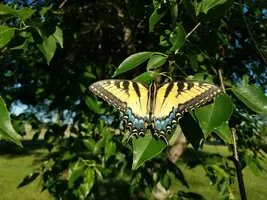 20180601_073854.webp