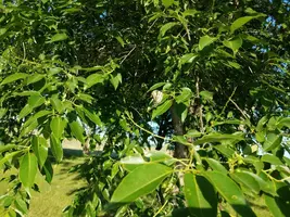 20180601_073817.webp
